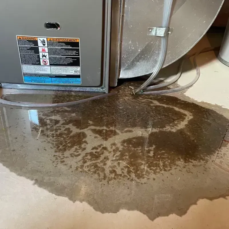 Appliance Leak Cleanup in Fayette County, IL